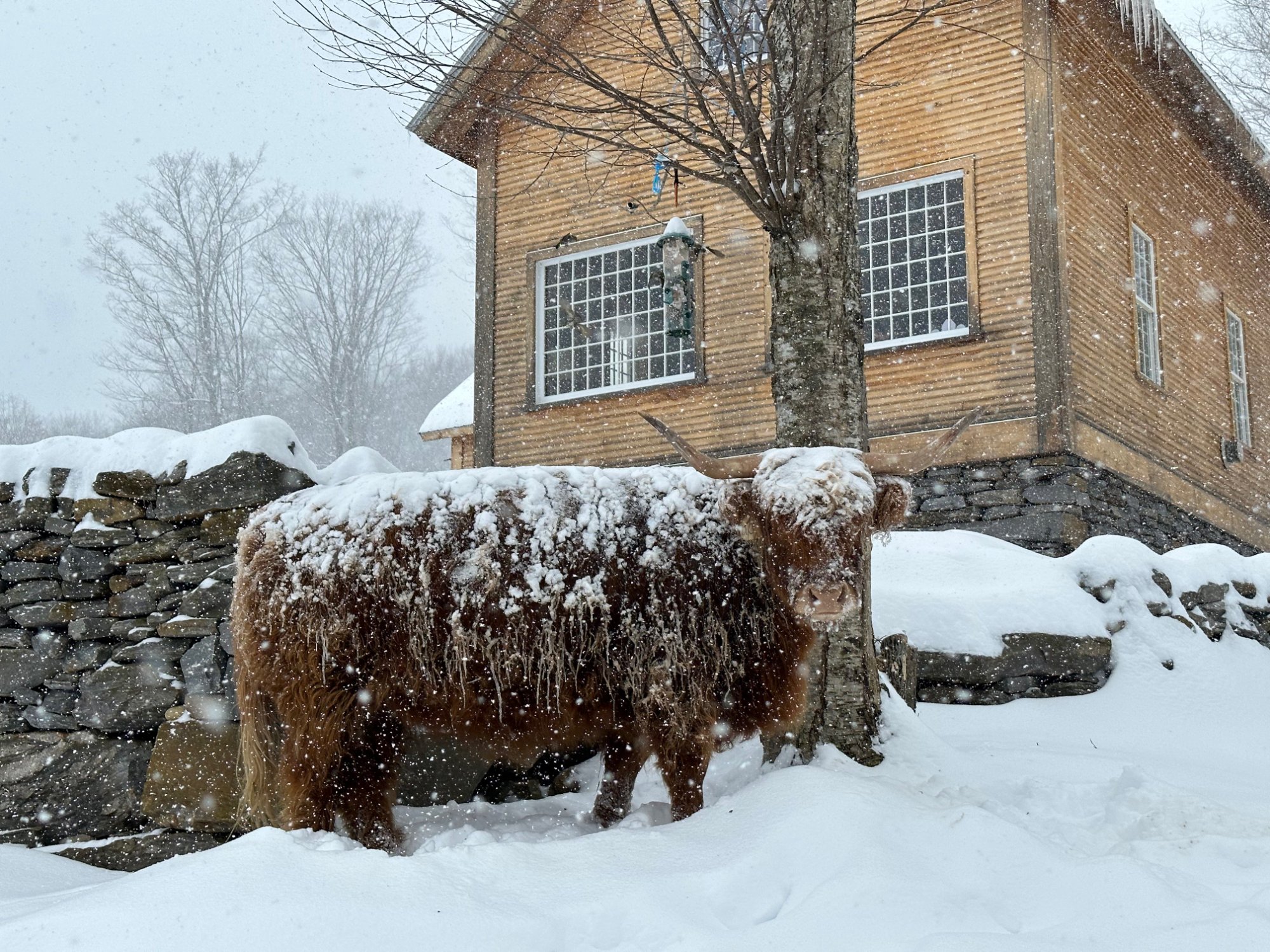 Stone and timber schoolhouse in deep winter snow at MacIsaac Highland — off-grid farm stay with sweeping Vermont views